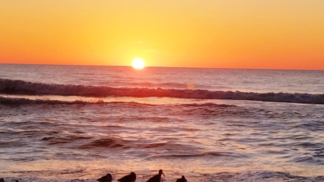 Photo of Others in Vanderbilt Beach