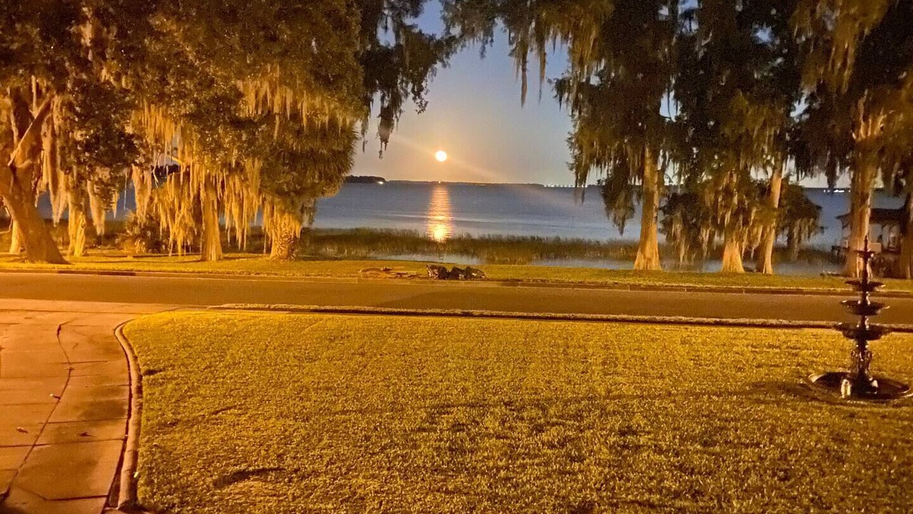 Photo of Outdoor in Leesburg
