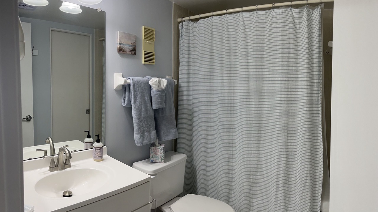Photo of Bathroom in Ponce Inlet
