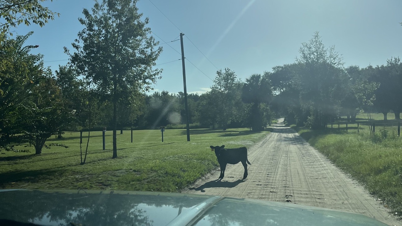 Photo of Others in Weirsdale