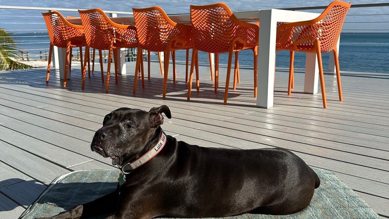 Photo of Others in North Captiva