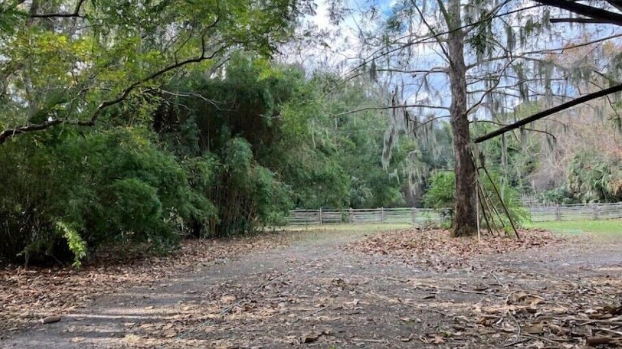 Photo of Outdoor in Georgetown