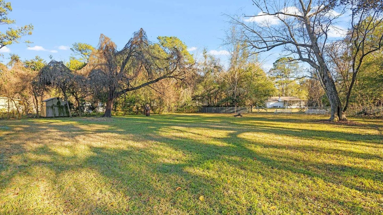 Photo of Others in Tallahassee