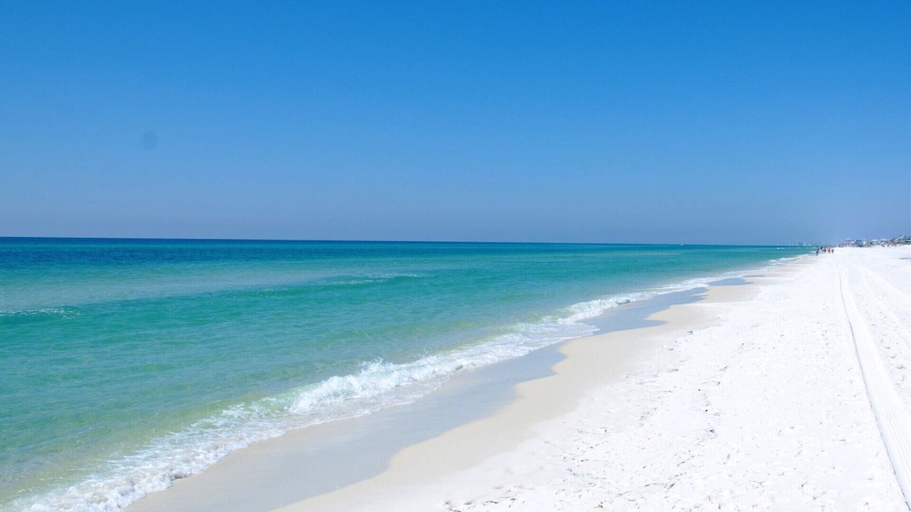 Photo of Others in Pensacola Beach