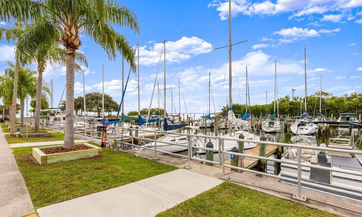 Photo of Others in Safety Harbor