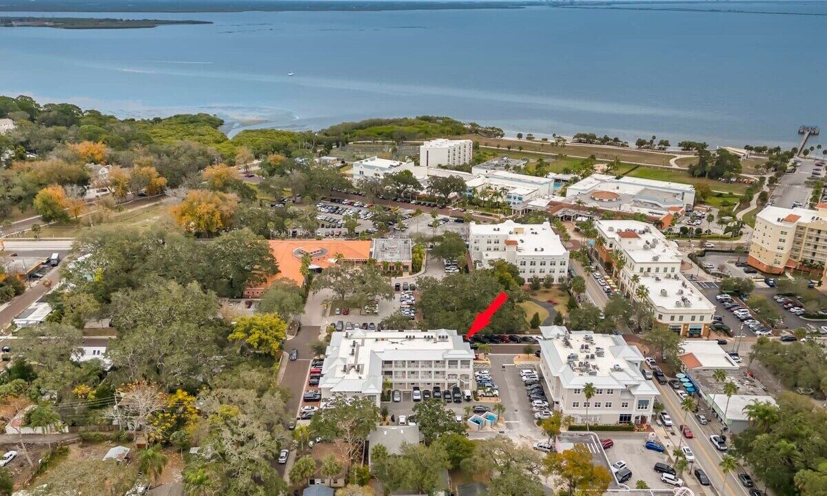 Photo of Others in Safety Harbor