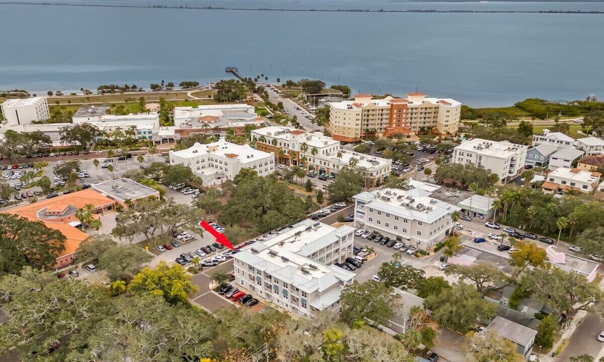 Photo of Others in Safety Harbor