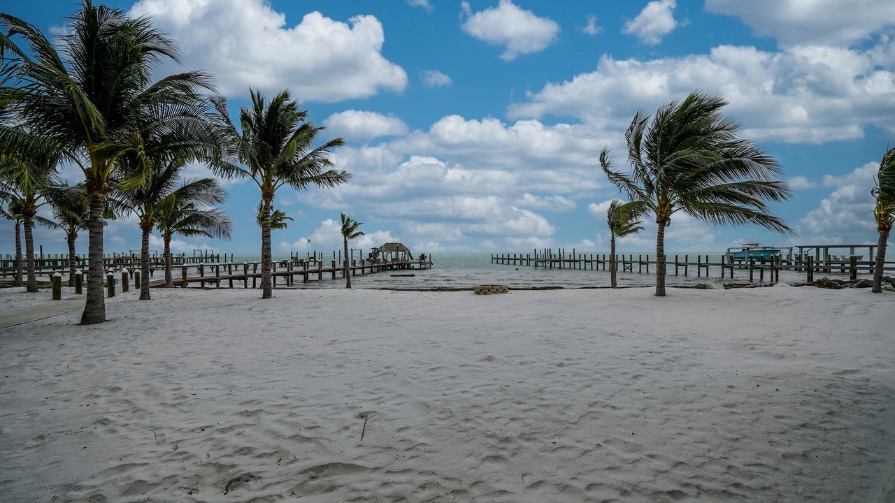 Photo of Others in Plantation Key