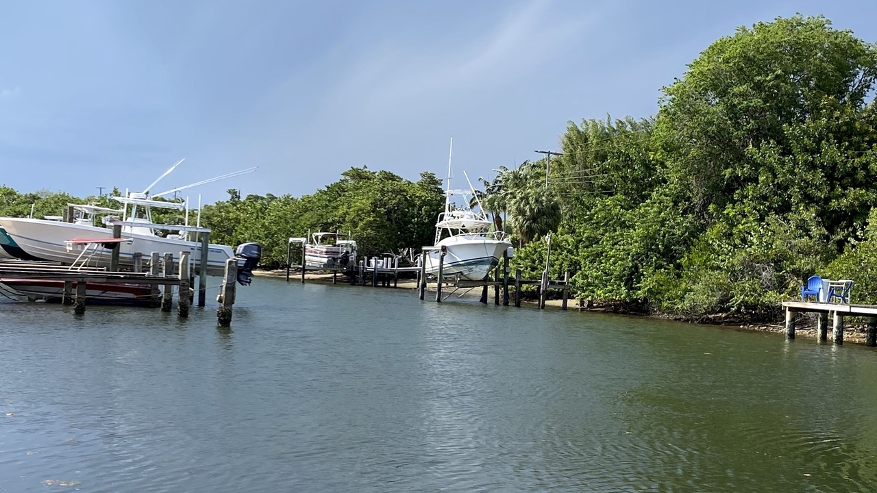 Photo of Others in Florida North Atlantic Coast