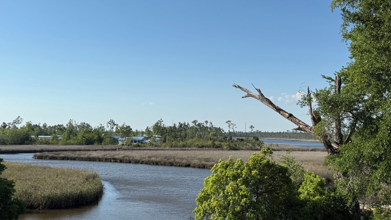 Photo of Others in Gulf County