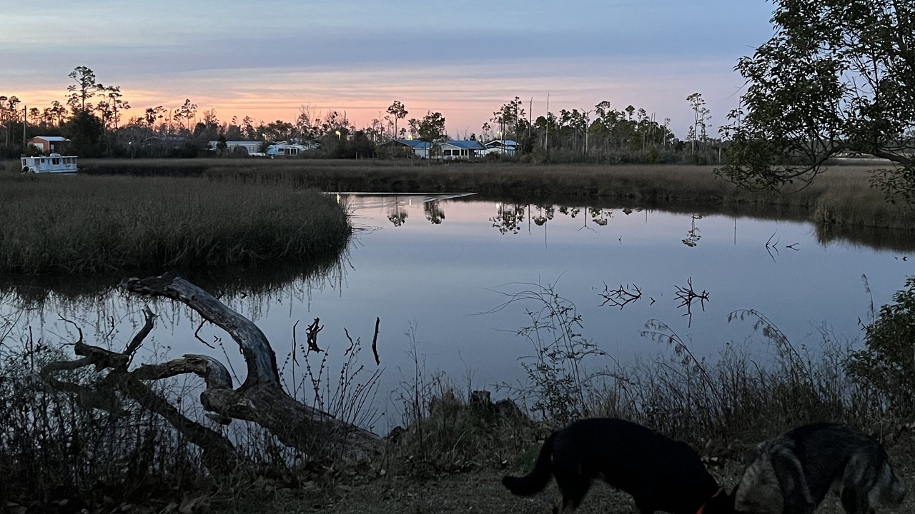 Photo of Others in Gulf County