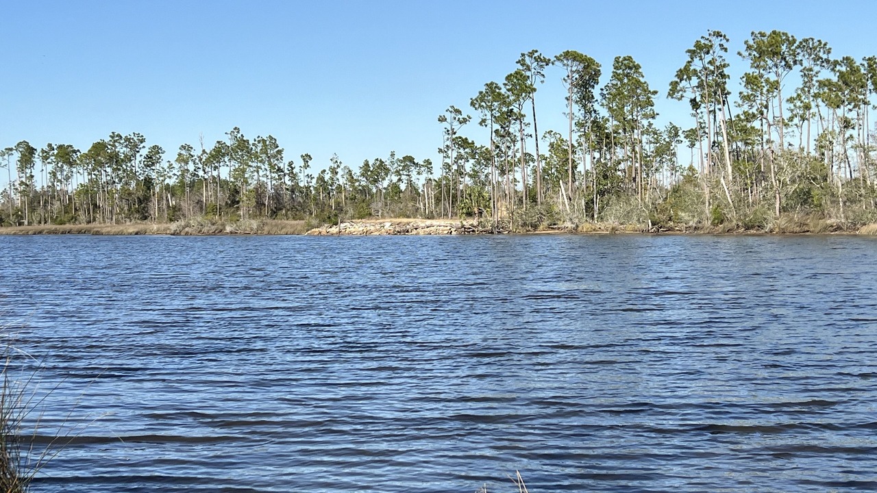 Photo of Others in Gulf County