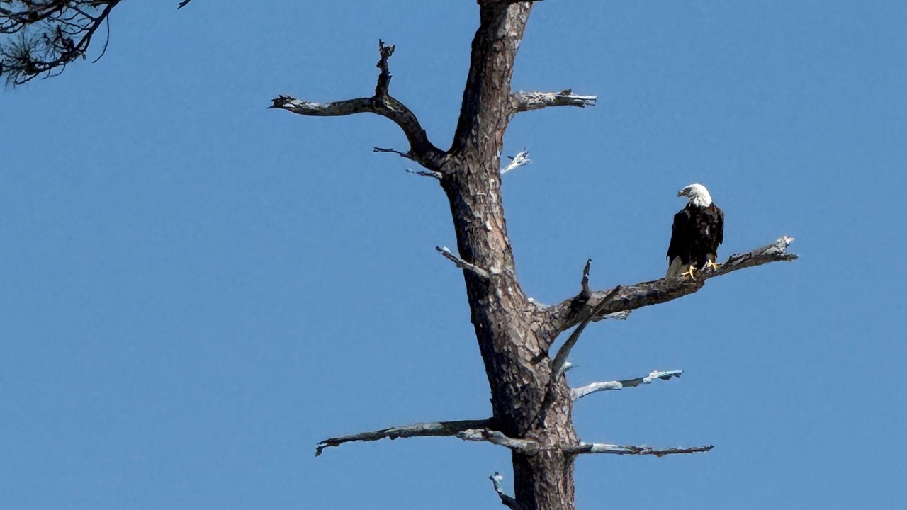 Photo of Others in Gulf County