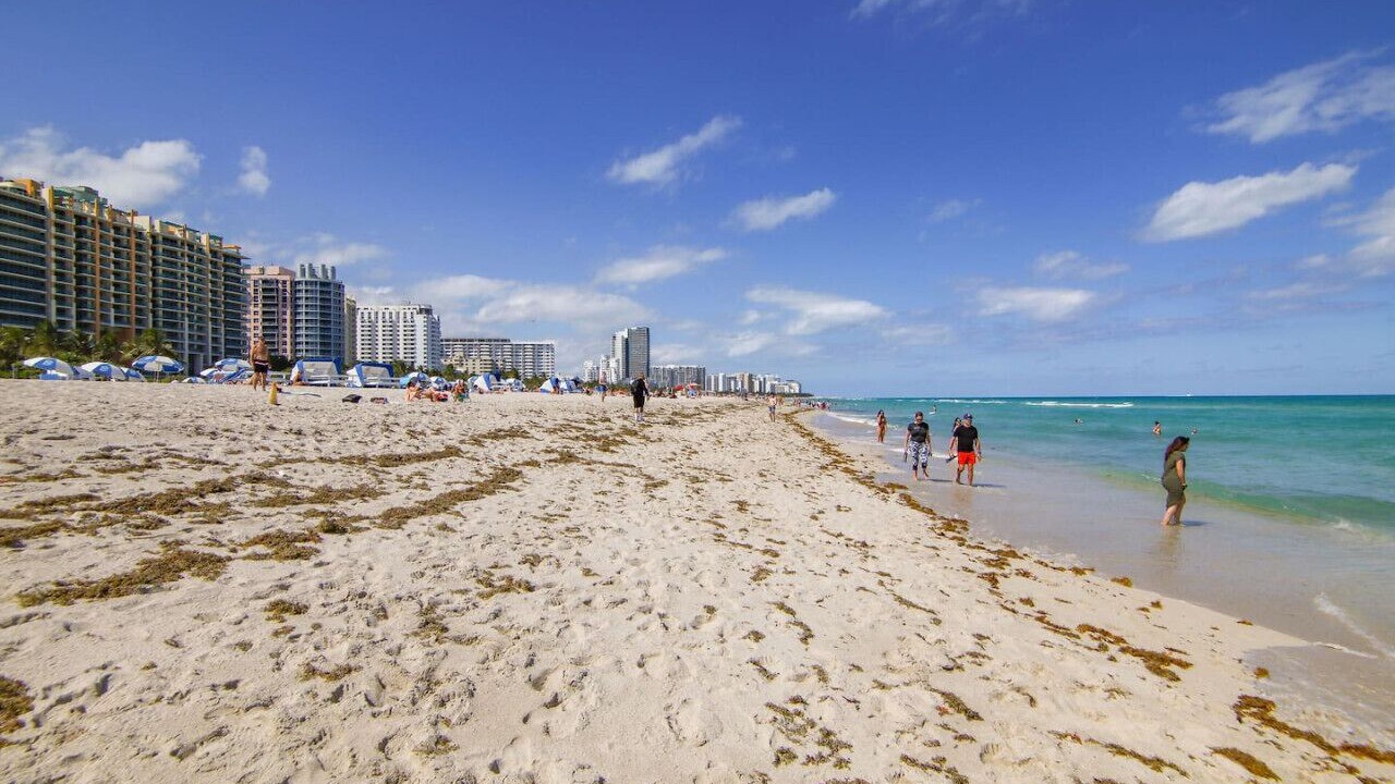 Photo of Others in South Beach