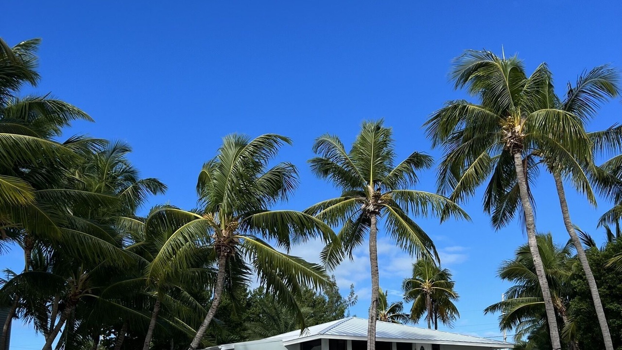 Photo of Outdoor in Islamorada