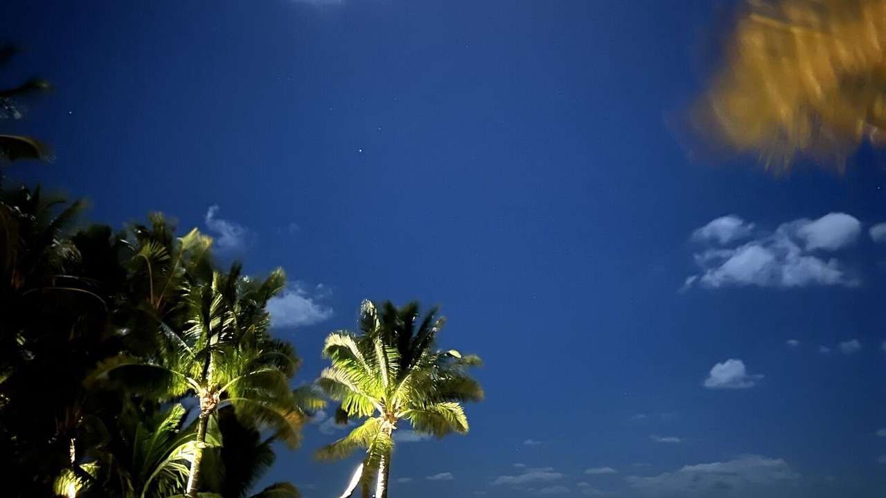 Photo of Outdoor in Islamorada
