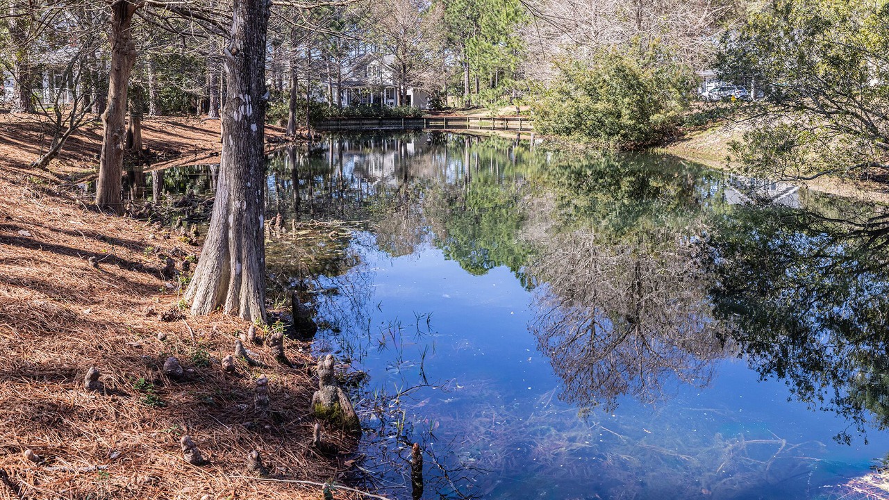 Photo of Others in Laurel Grove