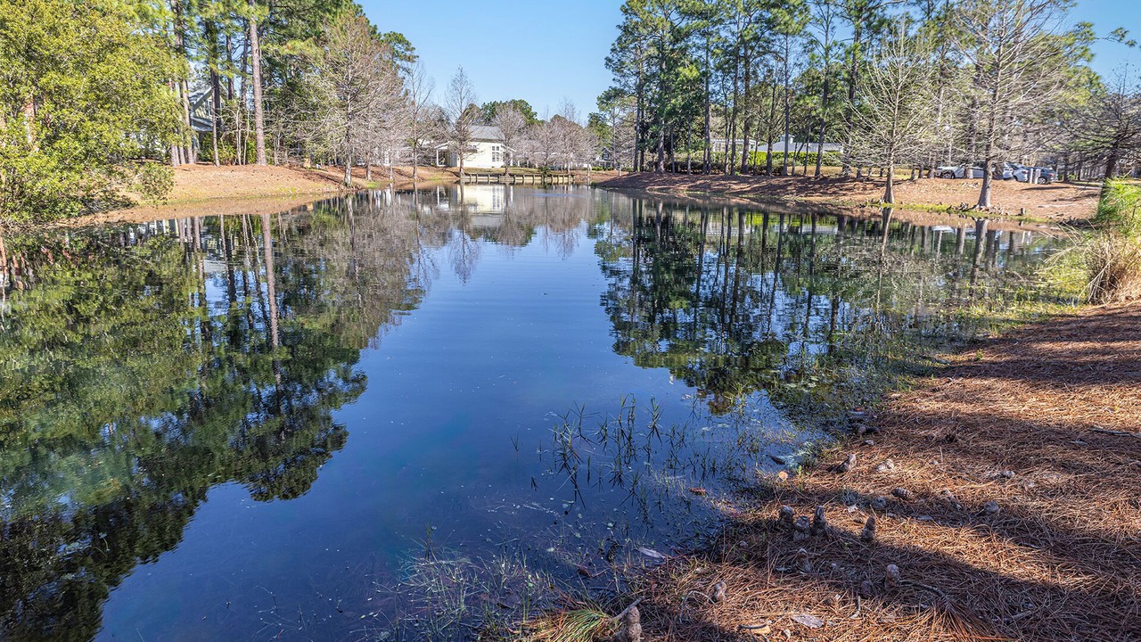 Photo of Outdoor in Laurel Grove