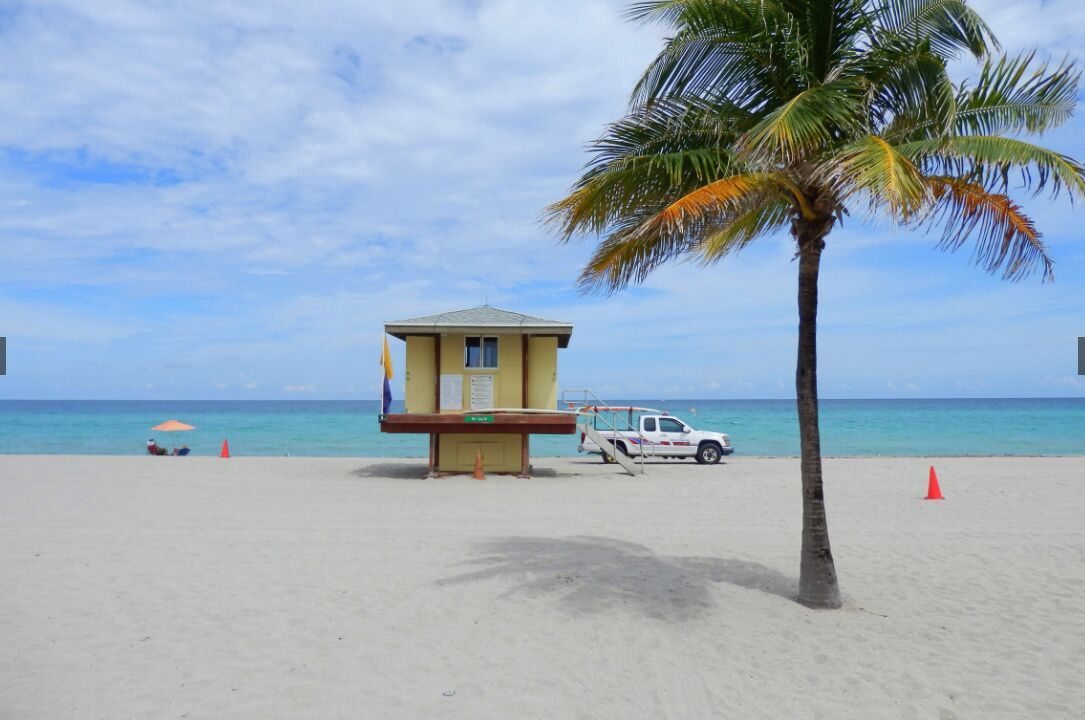 Photo of Others in Royal Poinciana