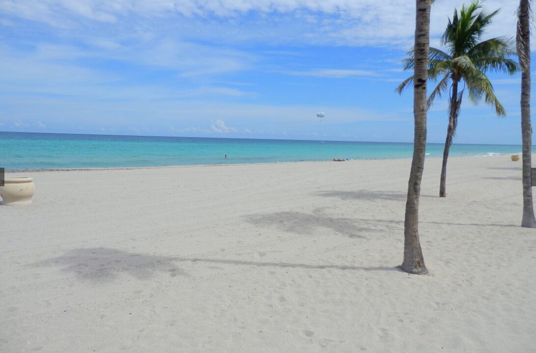 Photo of Others in Royal Poinciana