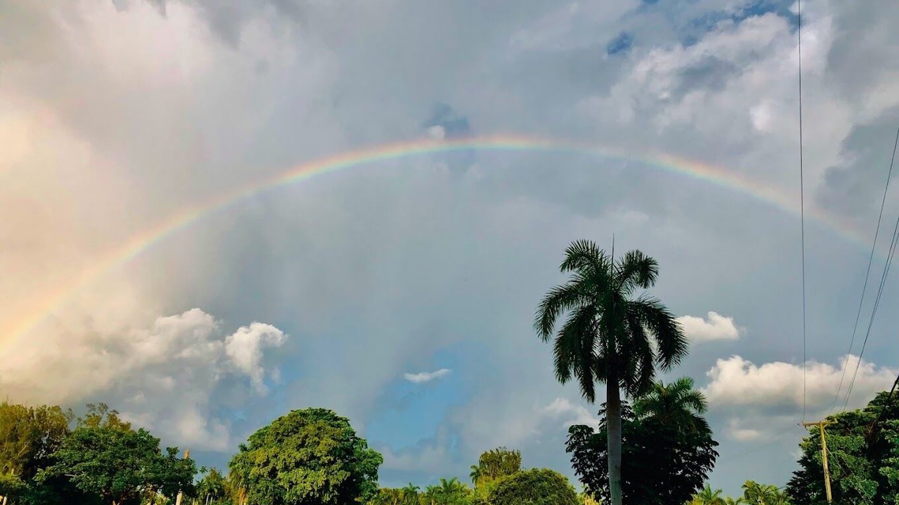 Photo of Others in Royal Poinciana