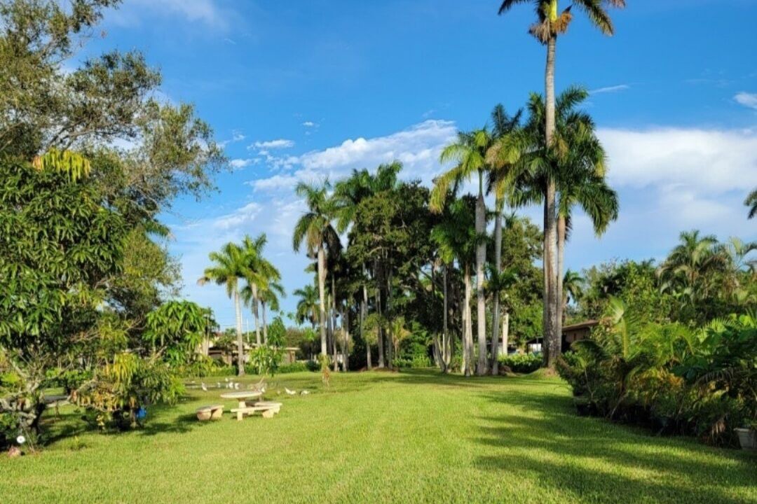 Photo of Outdoor in Golden Glades