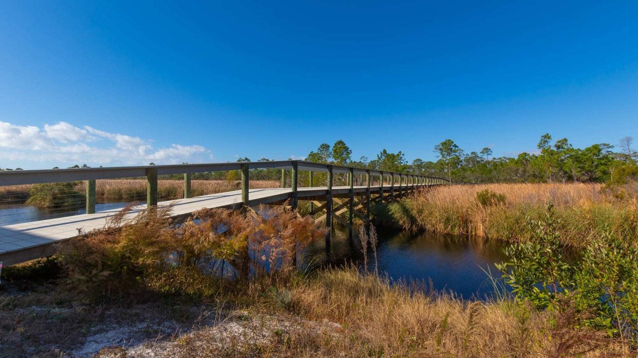 Photo of Outdoor in Orange Beach