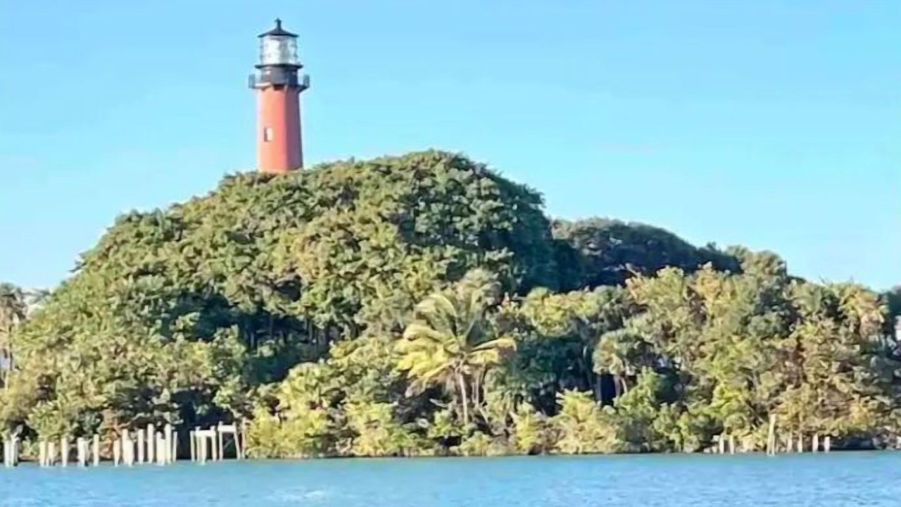 Photo of Others in Jupiter Farms