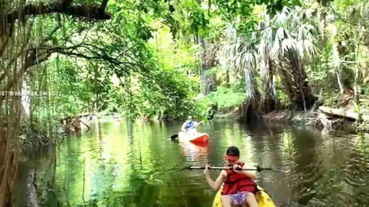 Photo of Outdoor in Jupiter Farms