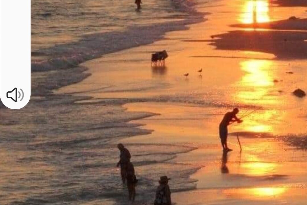 Photo of Others in Navarre