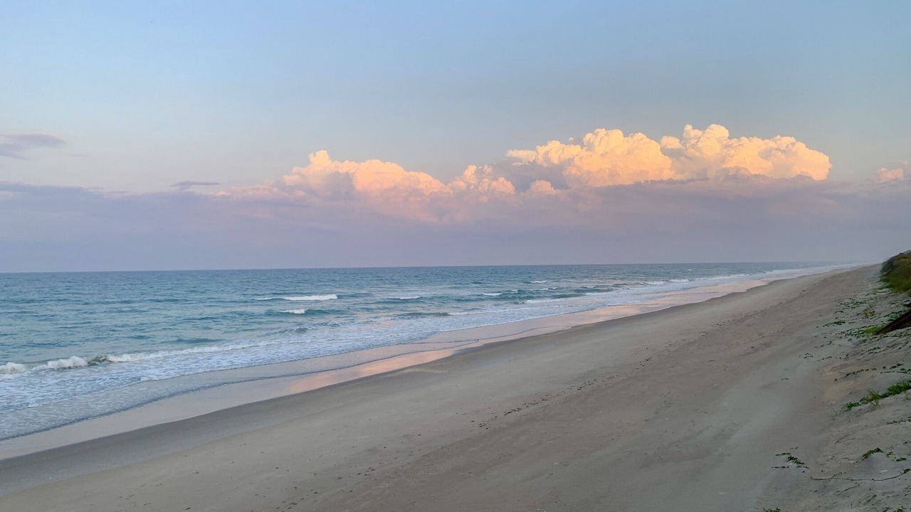 Photo of Others in Melbourne Beach