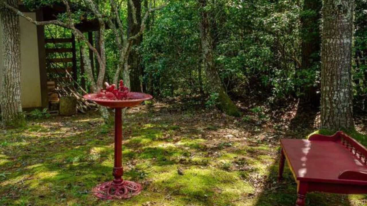 Photo of Outdoor in Franklin