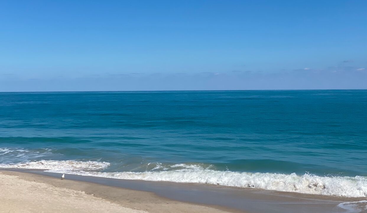 Photo of Others in Vero Beach