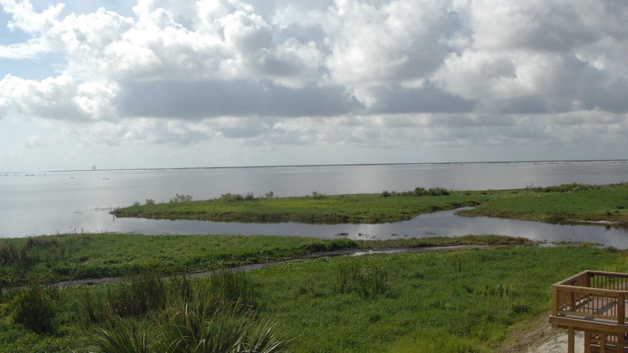 Photo of Outdoor in Moore Haven