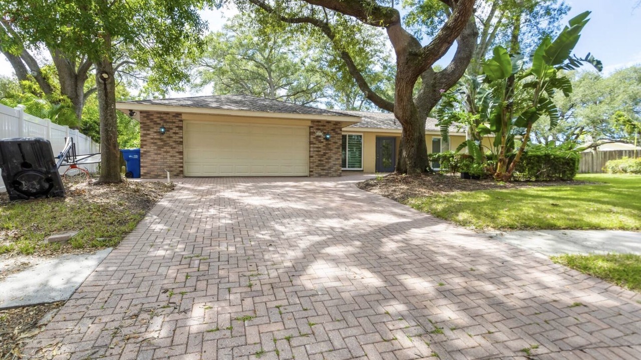 Photo of Outdoor in Clearwater
