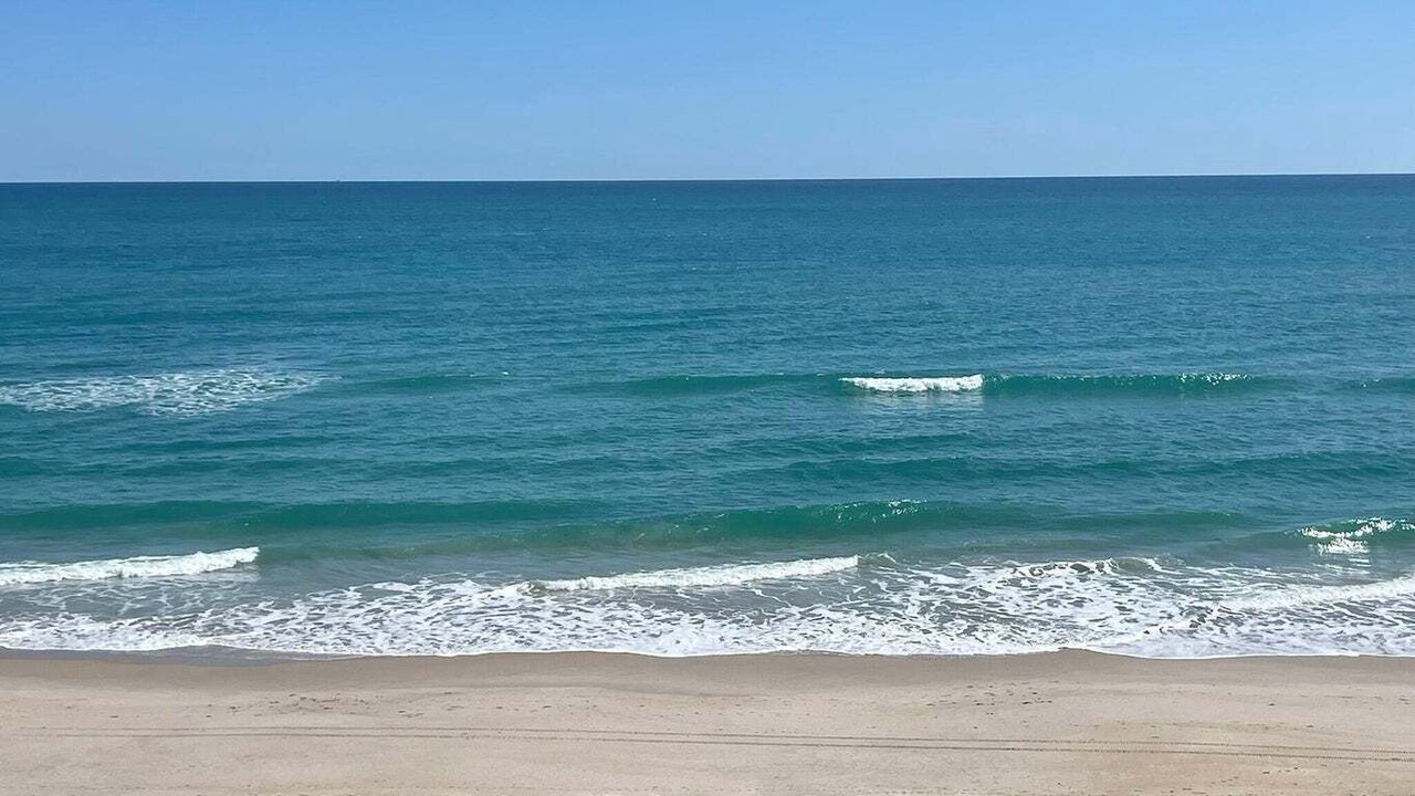 Photo of Others in Melbourne Beach