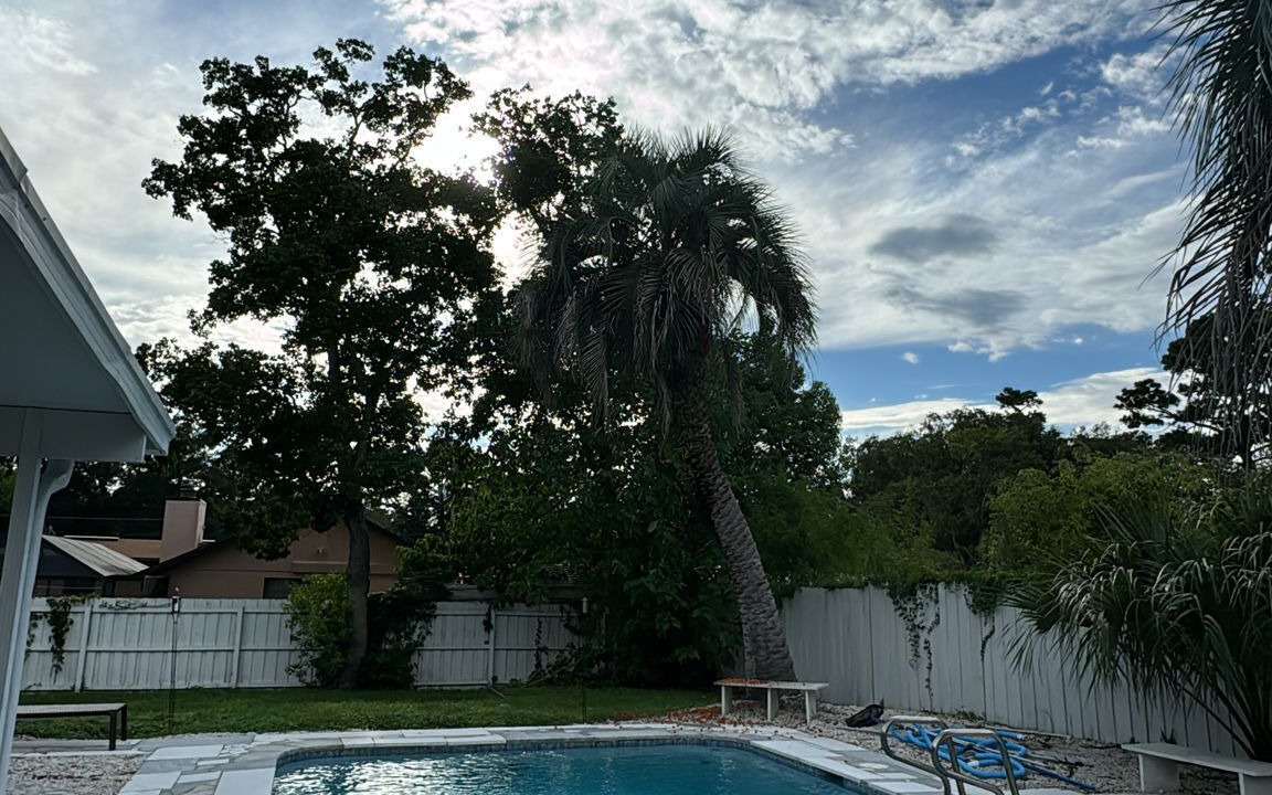 Photo of Outdoor in Arlington