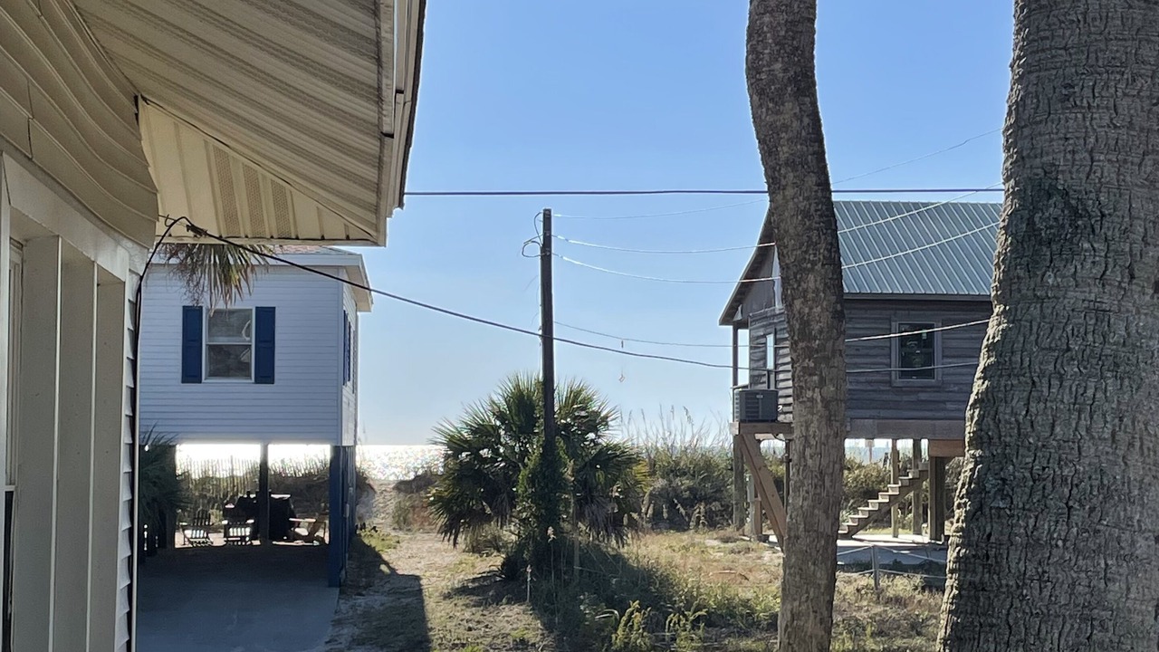 Photo of Outdoor in Edisto Island