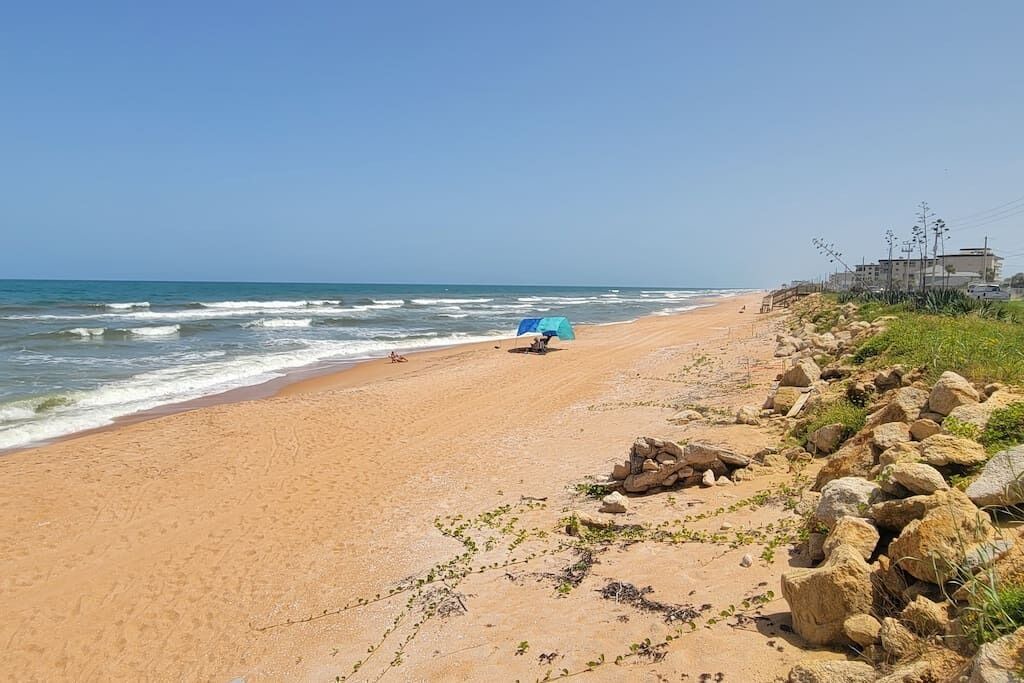 Photo of Others in Ormond Beach