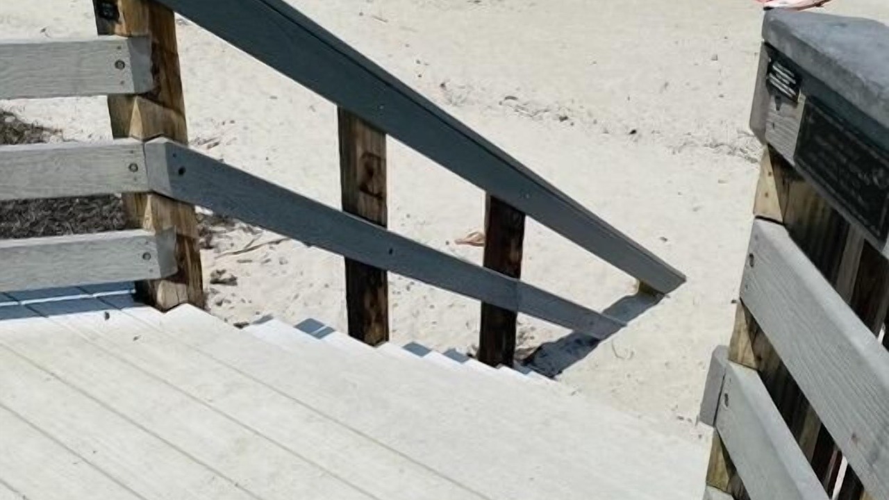 Photo of Others in South Patrick Shores