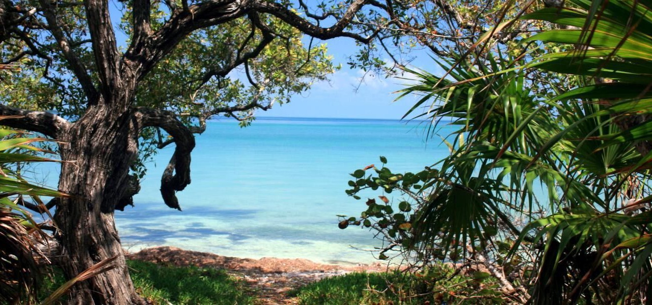 Photo of Others in Islamorada