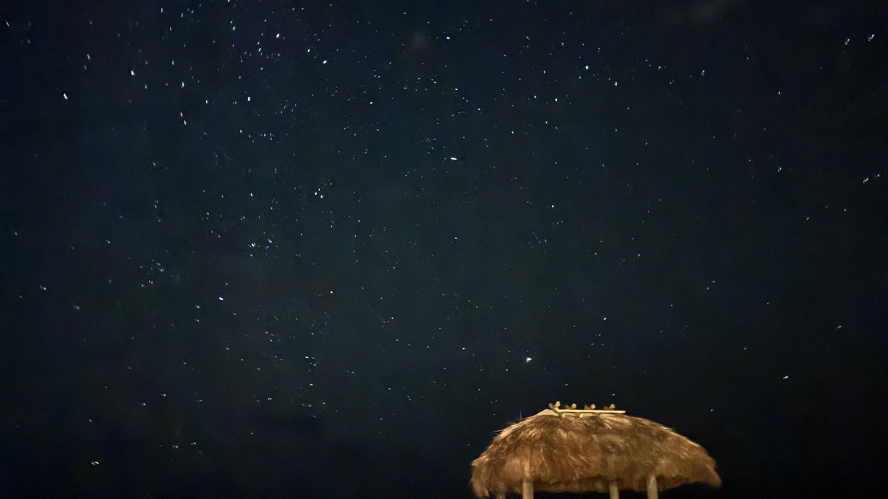 Photo of Others in Islamorada
