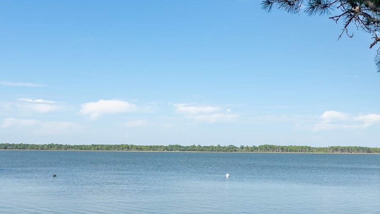 Photo of Others in Alligator Point