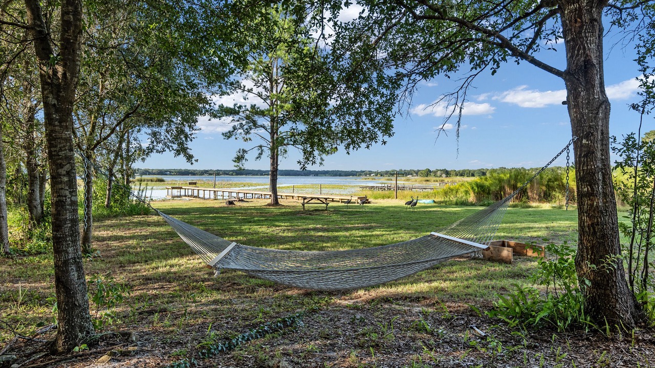 Photo of Outdoor in Candler