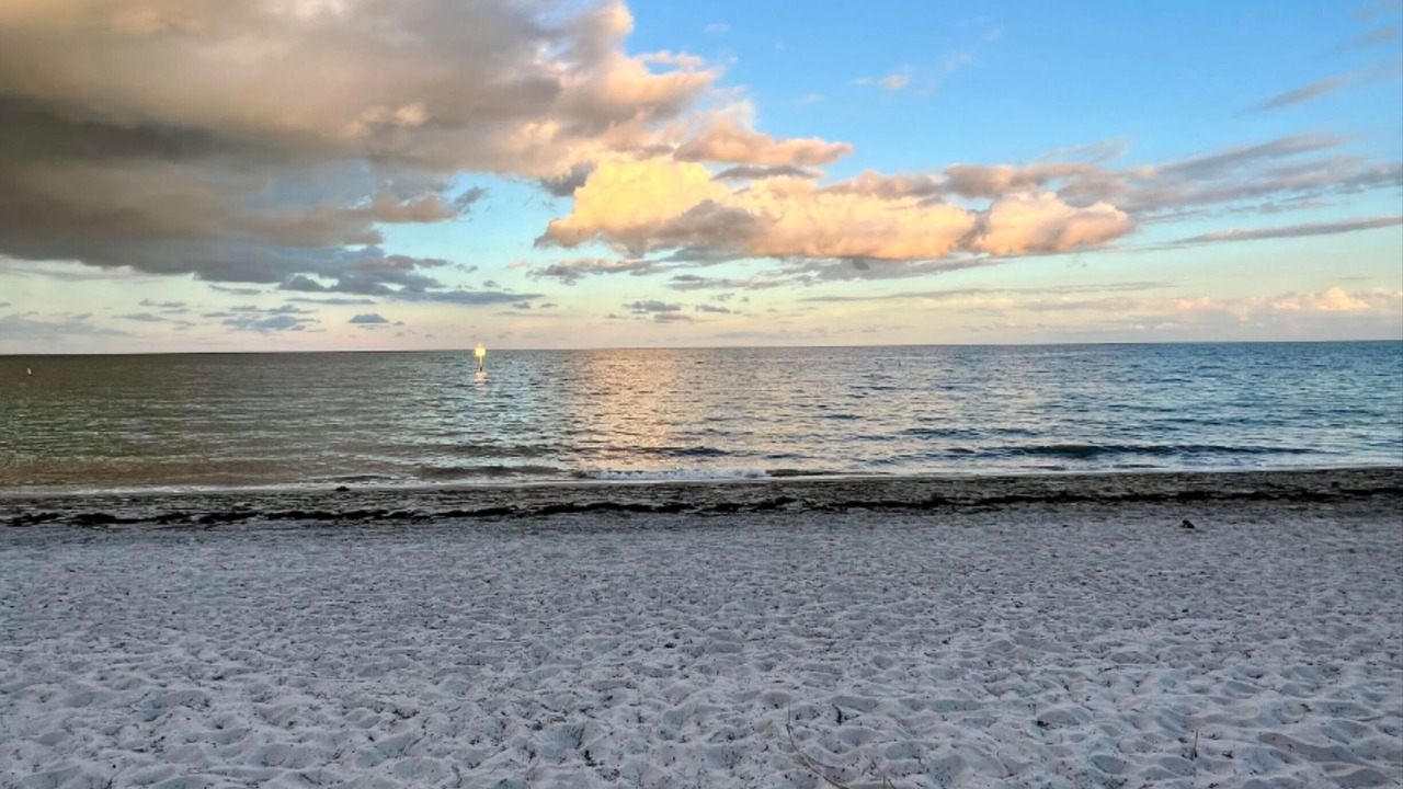 Photo of Others in Key Biscayne
