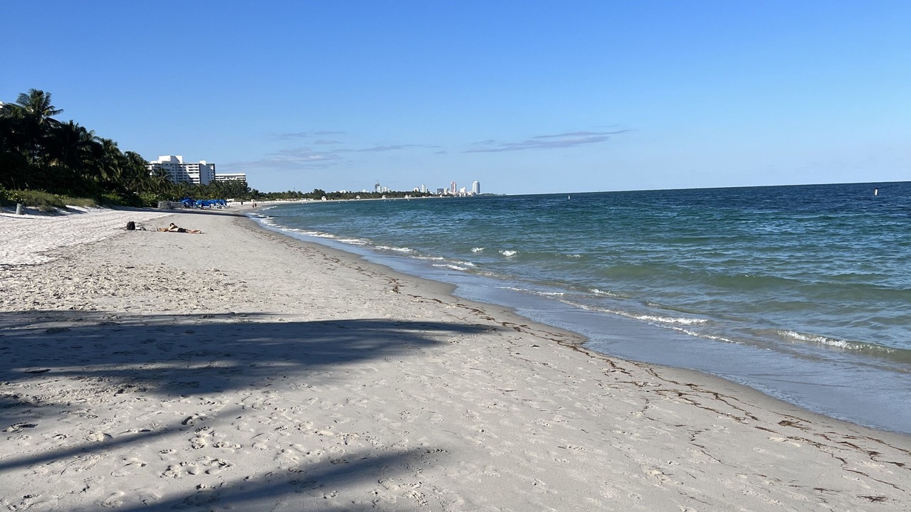 Photo of Others in Key Biscayne