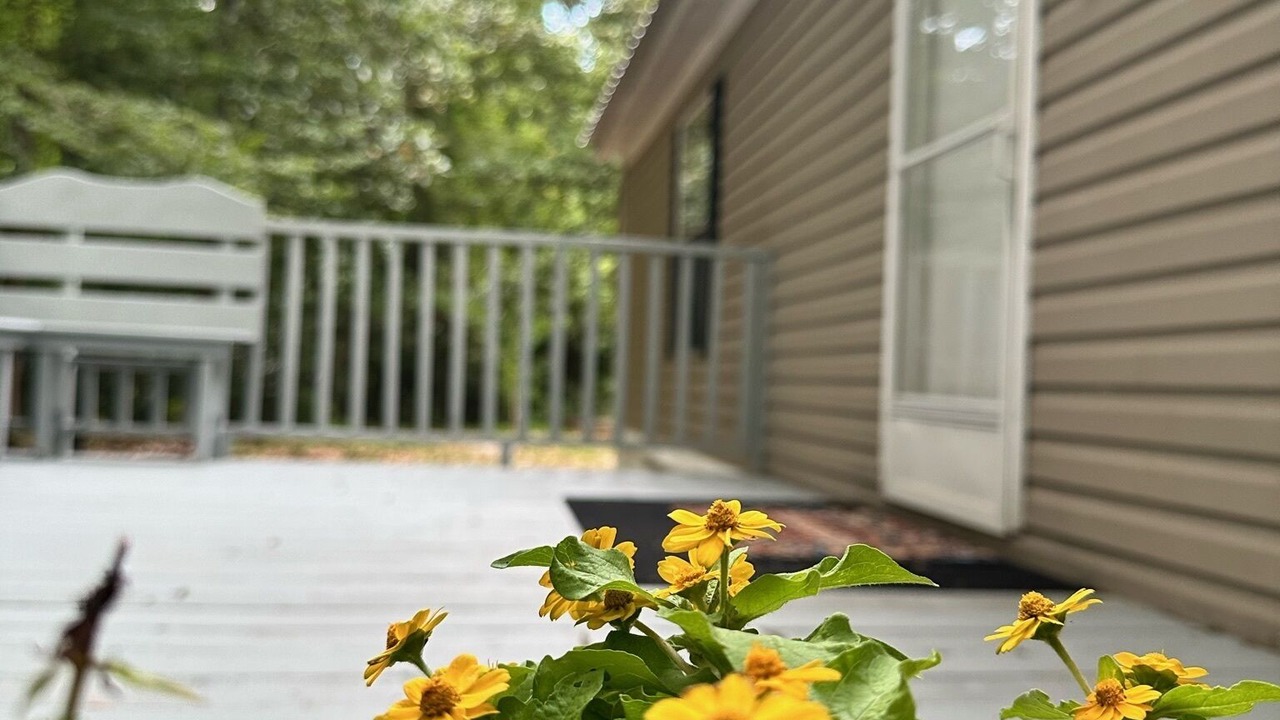 Photo of Outdoor in Fort White