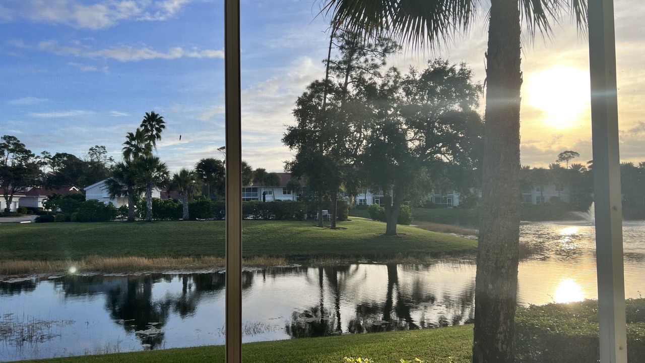 Photo of Others in North Naples