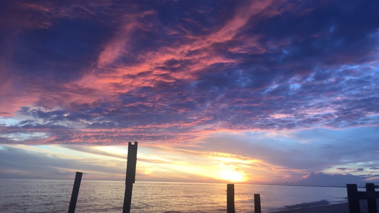Photo of Others in Alligator Point