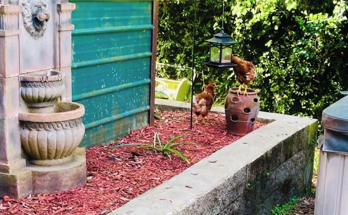 Photo of Outdoor in Edgar